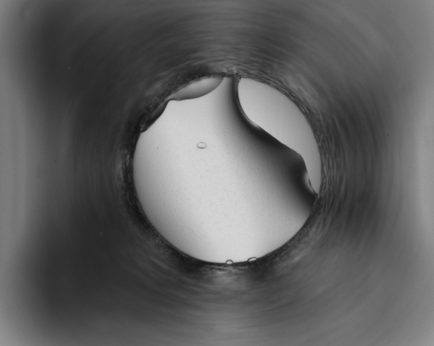 X0000093380229200711081551