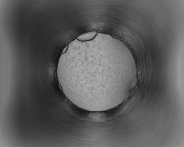 X0000093380231200711081551