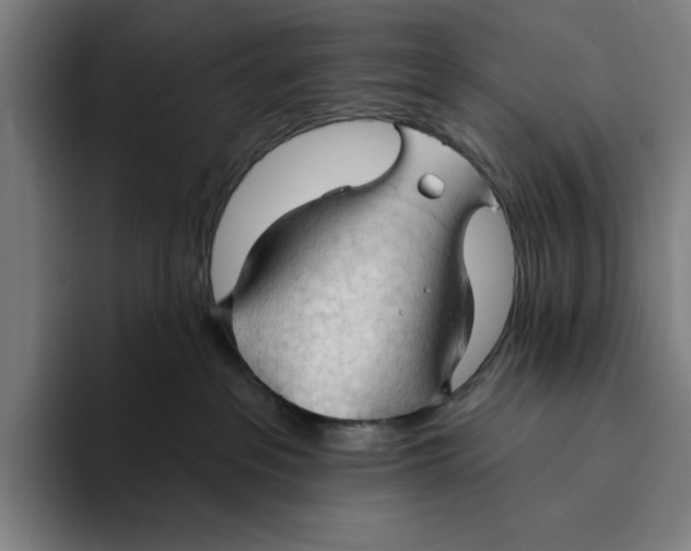 X0000093380237200711081551