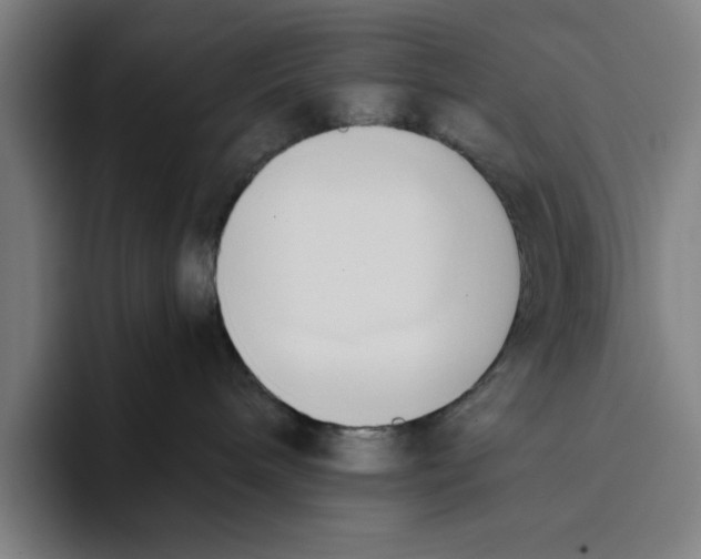 X0000093380240200711081551