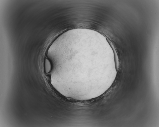 X0000093380241200711081550