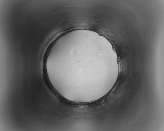 X0000093380243200711081550