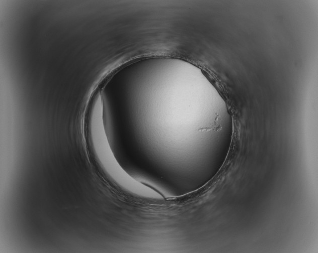 X0000093380244200711081550