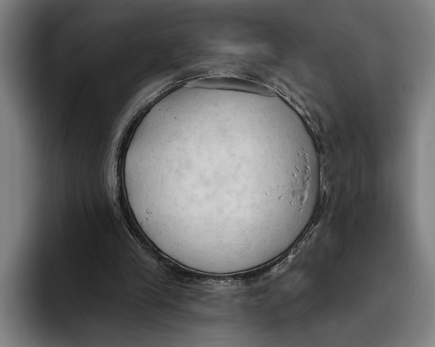 X0000093380245200711081550