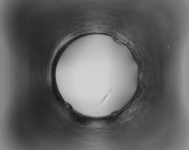 X0000093380248200711081550