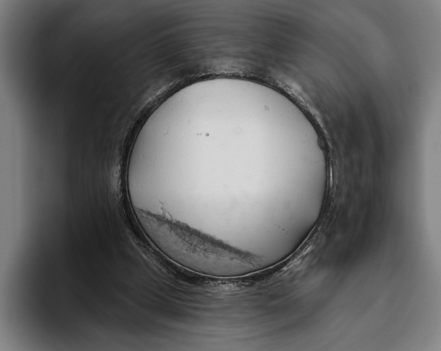 X0000093380249200711081551