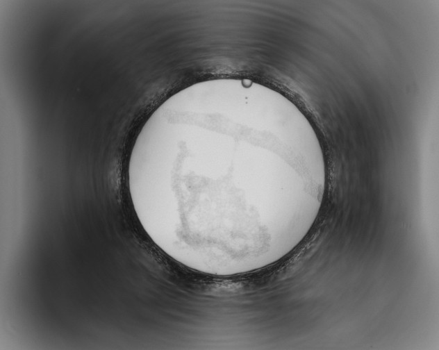 X0000093380257200711081551