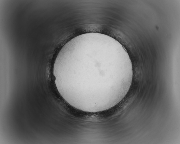 X0000093380259200711081551