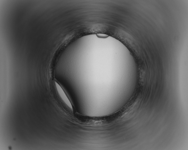 X0000093380260200711081551