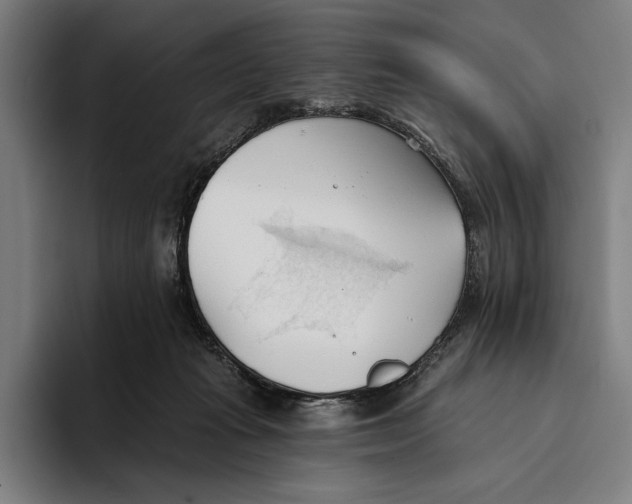 X0000093380269200711081551