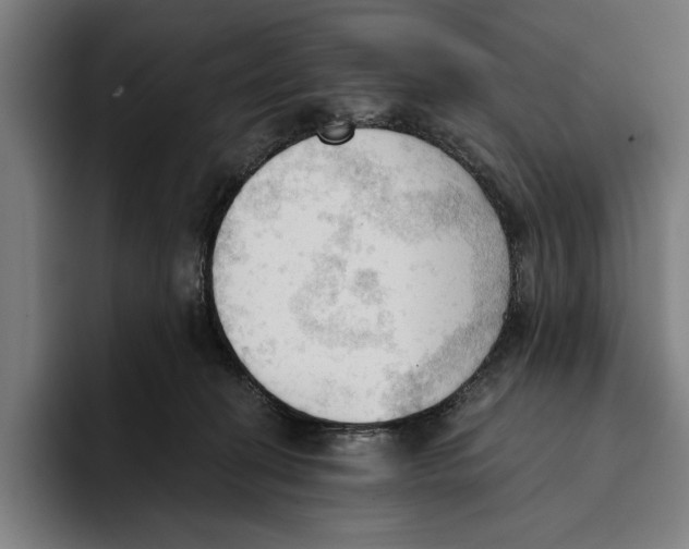 X0000093380274200711081551