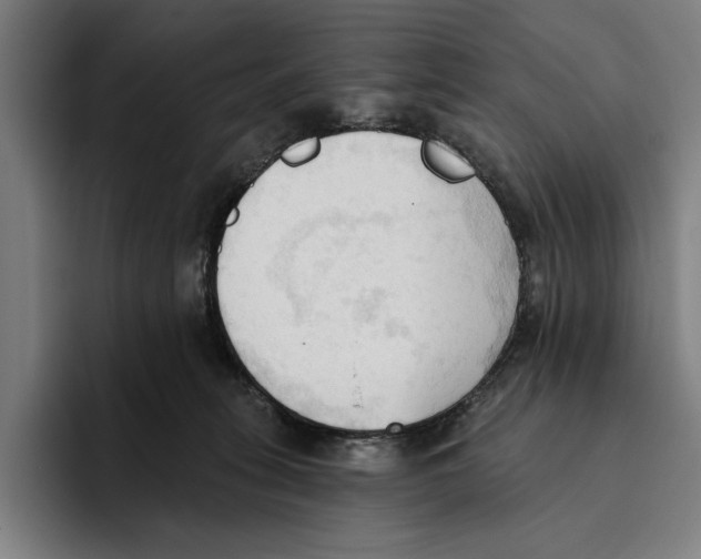 X0000093380275200711081551