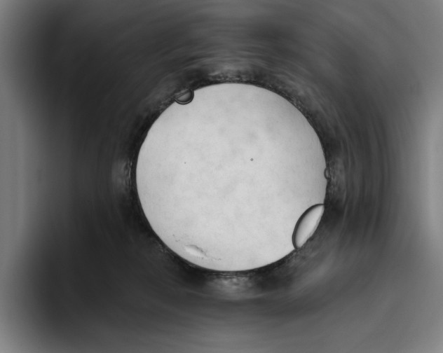 X0000093380278200711081551