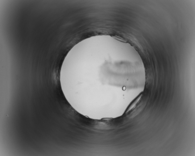 X0000093380285200711081551