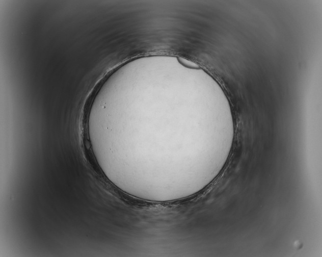 X0000093380290200711081550