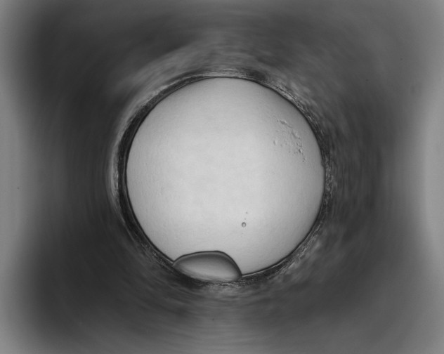 X0000093380294200711081550