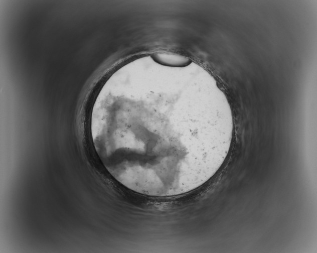 X0000093380295200711081550