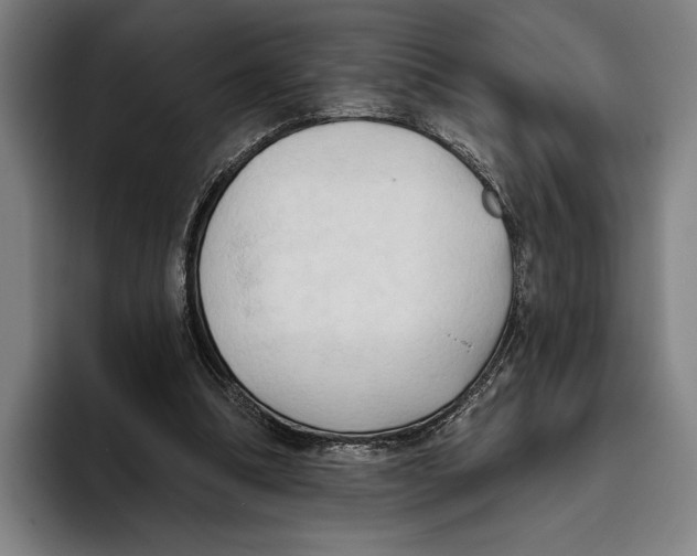 X0000093380298200711081550