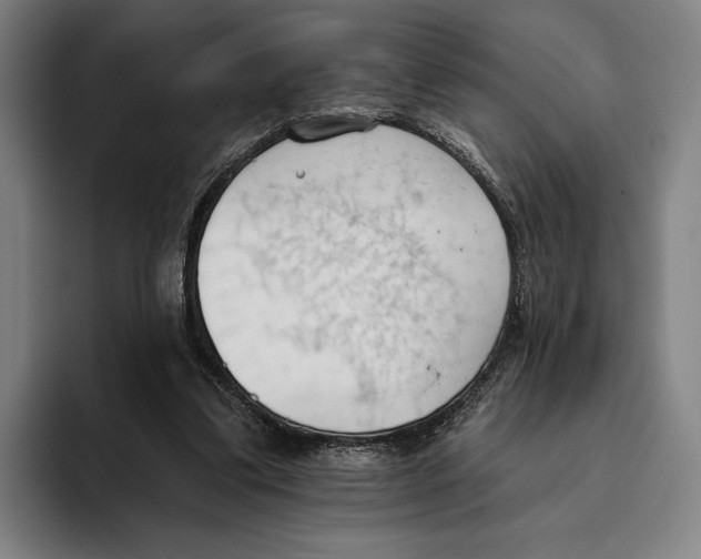 X0000093380299200711081550