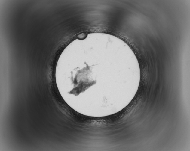 X0000093380303200711081550