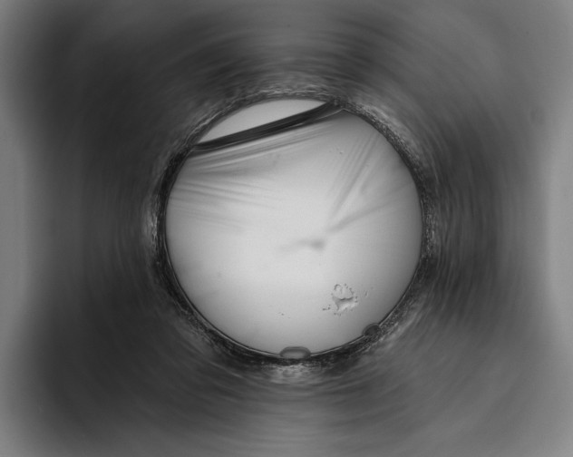 X0000093380309200711081550