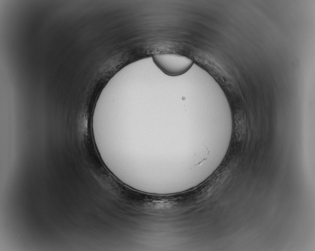 X0000093380310200711081550