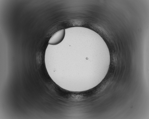 X0000093380311200711081550