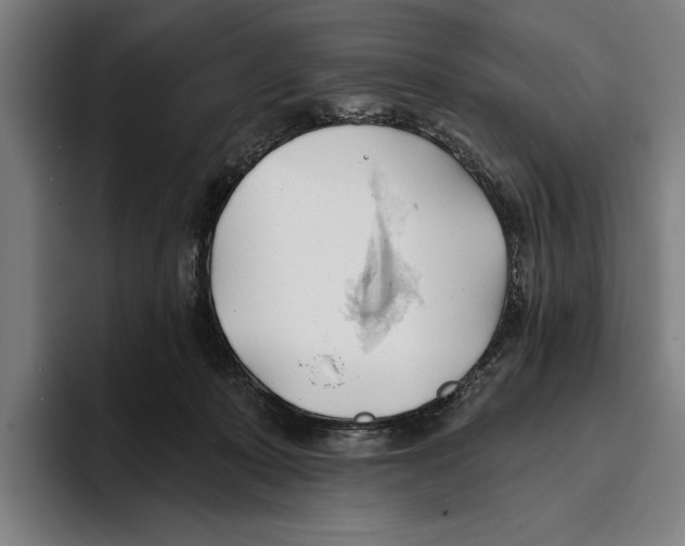 X0000093380319200711081550