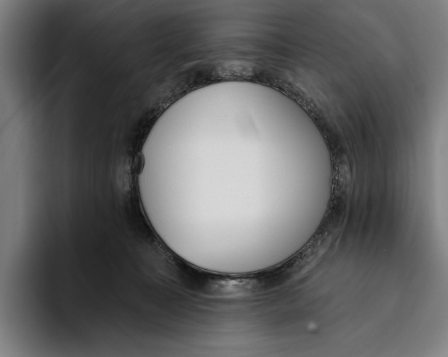 X0000093380323200711081550