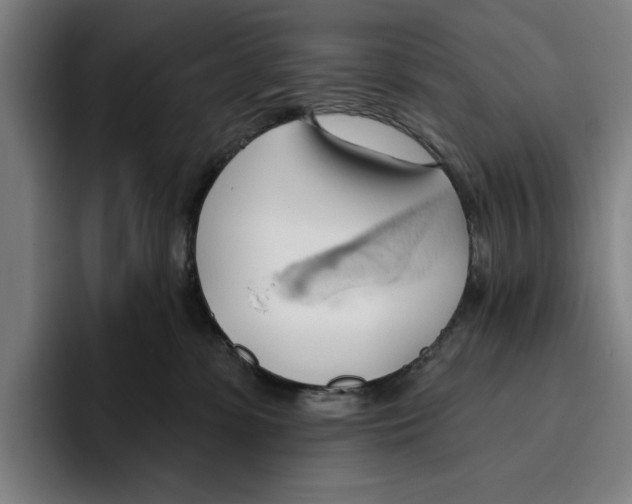 X0000093380331200711081550