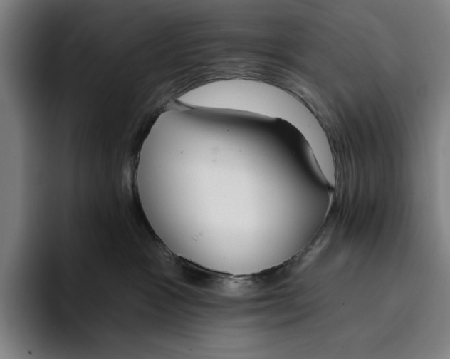 X0000093380333200711081550