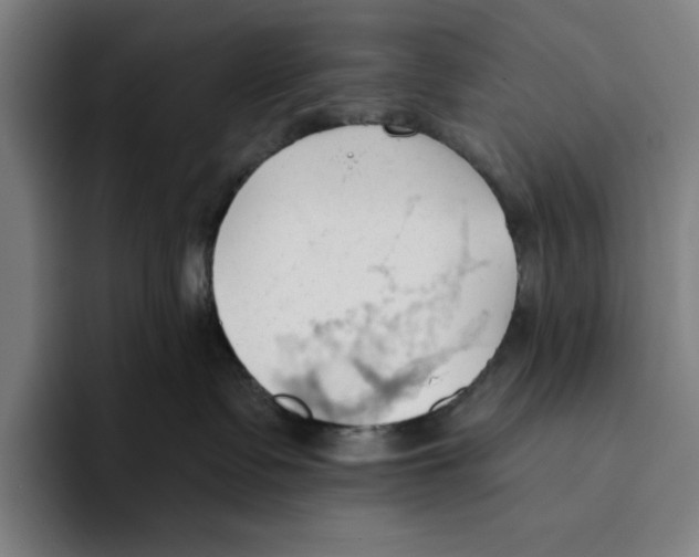 X0000093380335200711081550