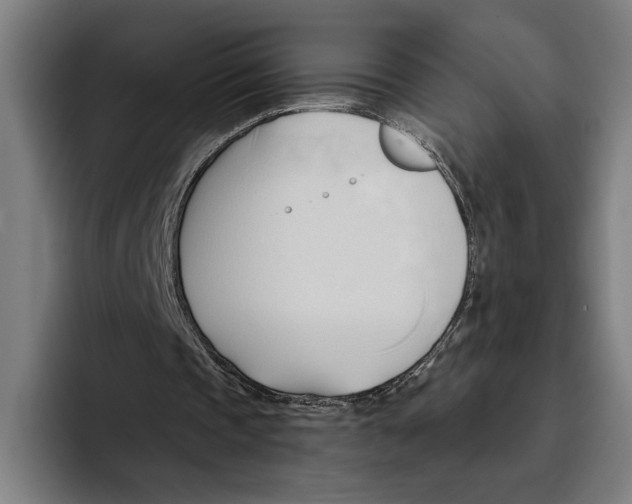 X0000093380337200711081549