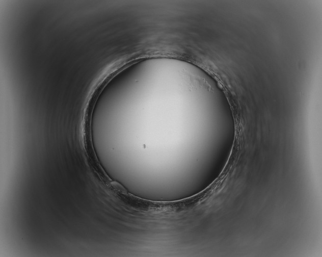 X0000093380340200711081549