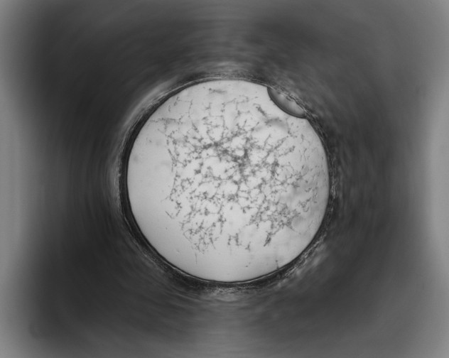 X0000093380341200711081549