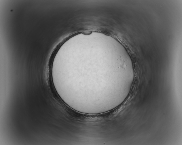 X0000093380342200711081549