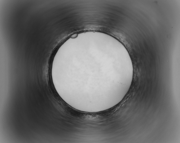 X0000093380346200711081549