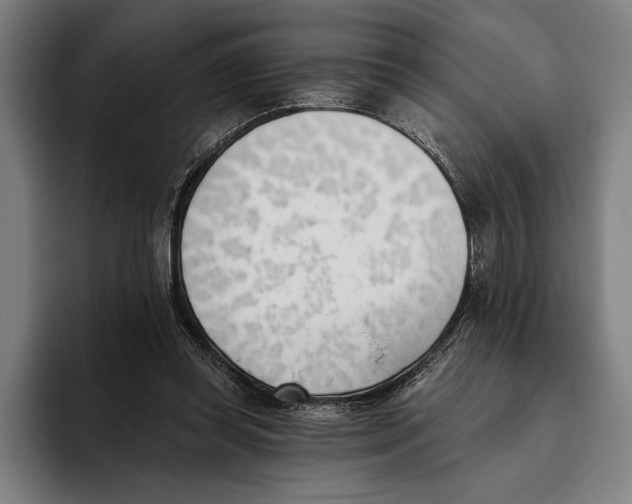 X0000093380349200711081549