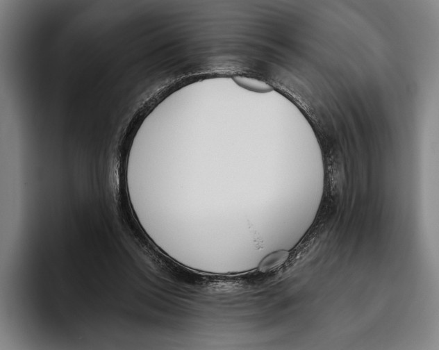 X0000093380350200711081549