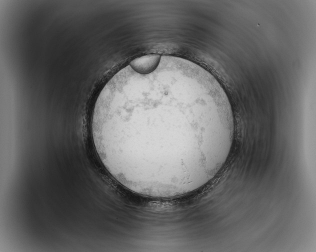 X0000093380354200711081549