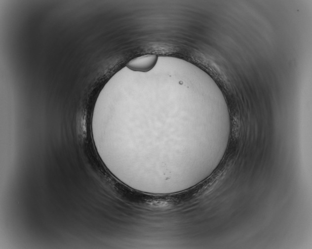 X0000093380358200711081549