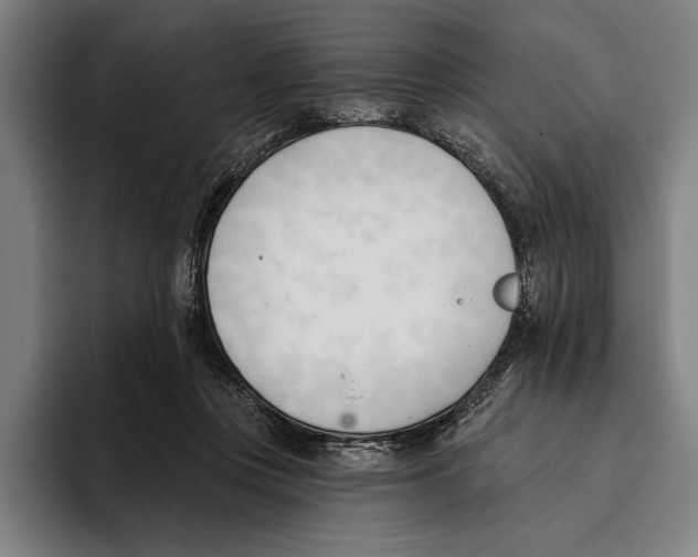 X0000093380359200711081549