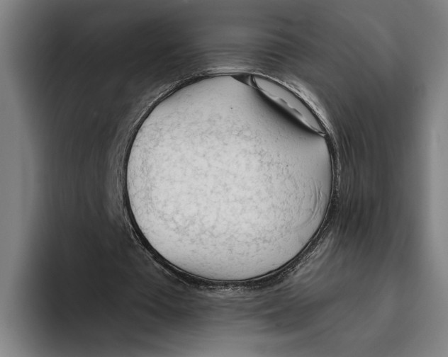 X0000093380385200711081549