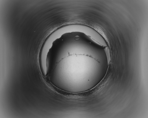 X0000093380389200711081549