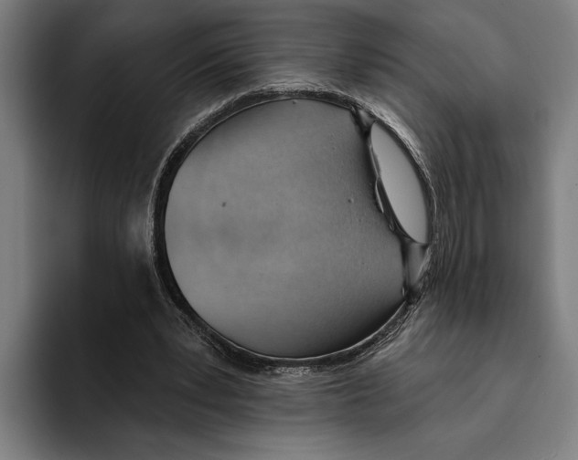 X0000093380391200711081549