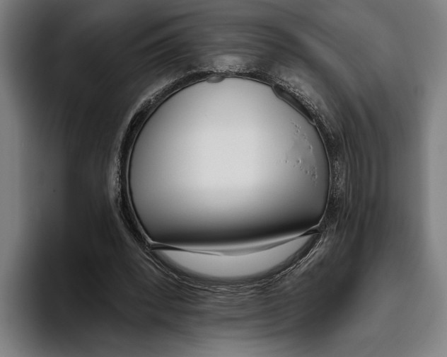 X0000093380392200711081549