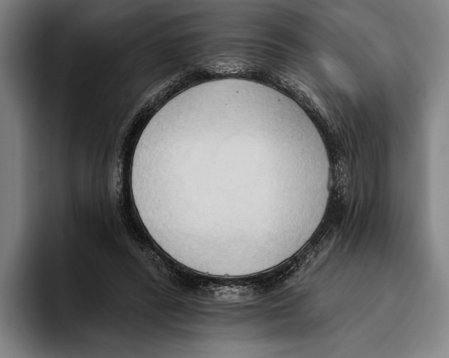 X0000093380400200711081549