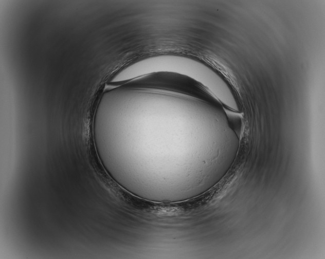 X0000093380401200711081549