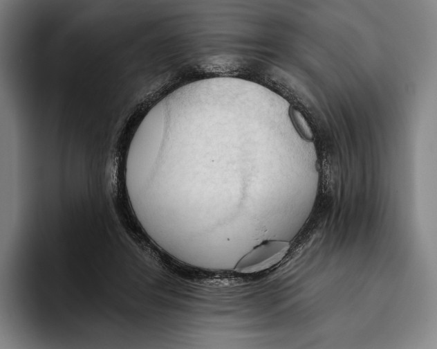 X0000093380404200711081549