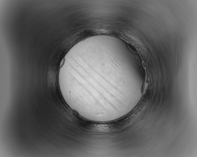 X0000093380409200711081549